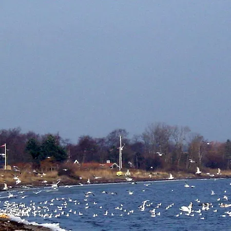 Hvedemarken Vi Sjolund